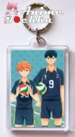 Haikyuu 11